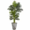 Coupon π Nearly Natural 7 Ft. Artificial Golden Cane Palm Tree W/Cement Planter βοΈ 2 Coupon π Nearly Natural 7 Ft. Artificial Golden Cane Palm Tree W/Cement Planter βοΈ -Nearly Natural Sales unnamed file 930