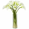 Flash Sale π Nearly Natural Mini Calla Lily Silk Flower Arrangement Cream β¨ 2 Flash Sale π Nearly Natural Mini Calla Lily Silk Flower Arrangement Cream β¨ -Nearly Natural Sales unnamed file 959